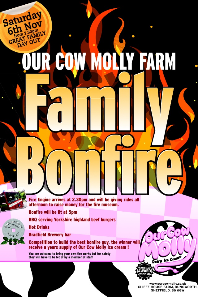 Our Cow Molly family bonfire