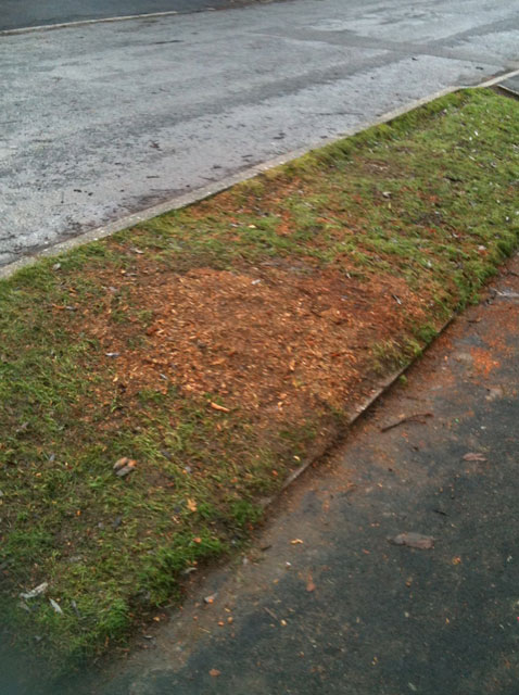 Remains of tree on Den Bank Drive