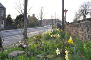 Manchester Road/Lydgate Lane