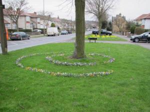 Coppice View/Manchester Road