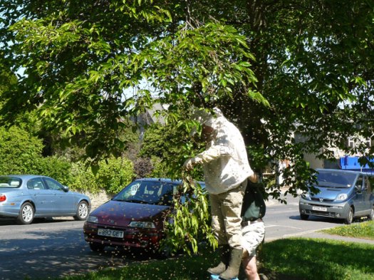 John captures the bees