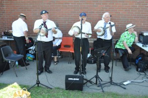 Summer Fayre, Crosspool Festival 2011
