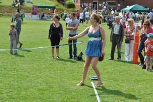 Summer Fayre, Crosspool Festival 2011