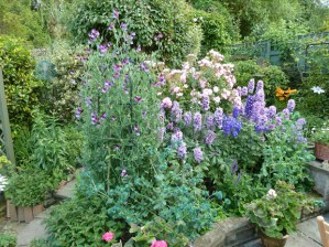 Crosspool Open Gardens 2011