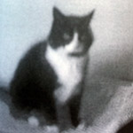 Max: went missing around Watt Lane