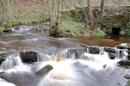Rivelin valley : the local conservation group has won an award