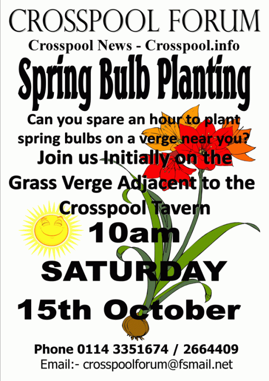 Spring bulb planting, Saturday 10 October