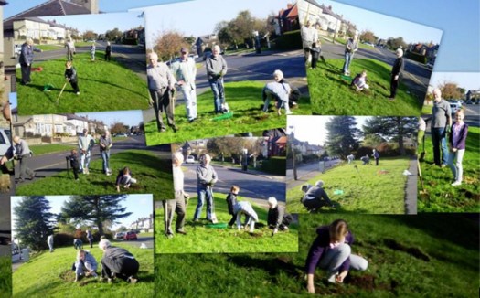 A big thank you to the volunteers who planted 4,000 bulbs last weekend