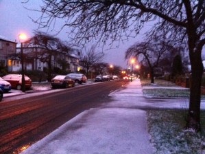 Snow on Watt Lane this morning