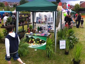 Crosspool Summer Fayre 2012