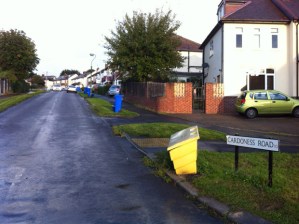 Blue bins and boxes weren't emptied on some Crosspool roads on Monday