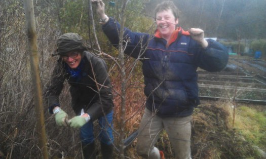 Hillside Harvest open day volunteers