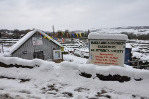 Hagg Lane allotments, take during the March 2013 snowfall