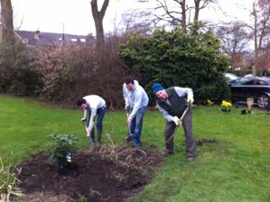 Lydgate Green planting and tidy-up day, Saturday 27 April 2013