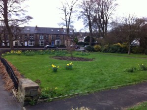 Lydgate Green planting and tidy-up day, Saturday 27 April 2013
