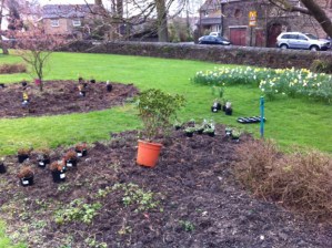 Lydgate Green planting and tidy-up day, Saturday 27 April 2013