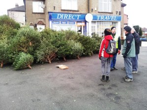 Christmas tree recycling