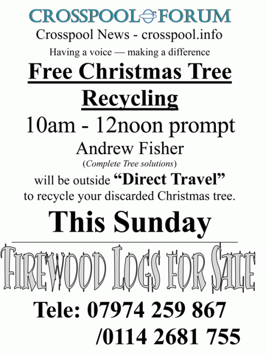 Free Christmas tree recycling on Sunday