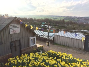 Hagg Lane allotments