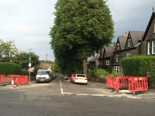 Cairns Road: trees will be removed for the delayed resurfacing project