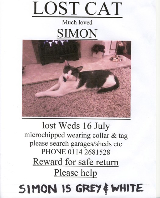Have you seen Simon the cat?