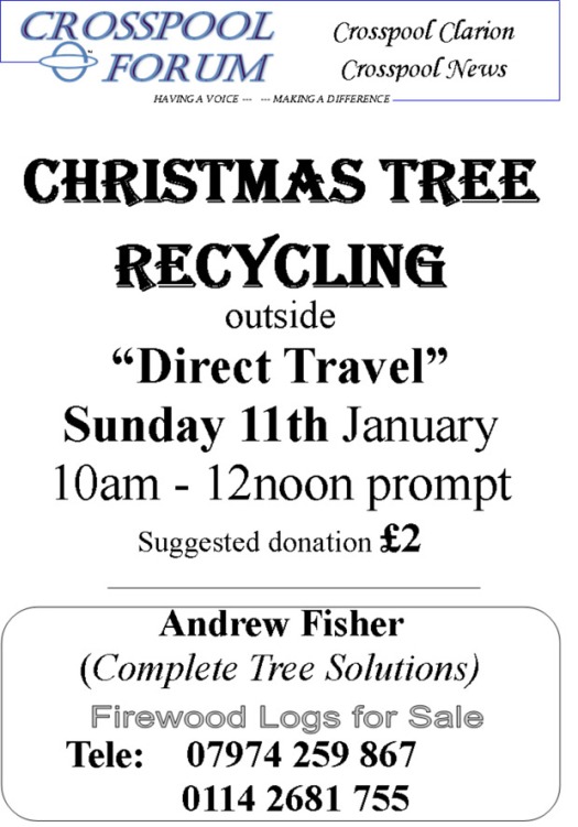 January 2015 Chrstmas tree recycling
