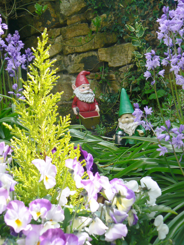 Photo 2 - garden with gnomes. Vote for this at the bottom of the page