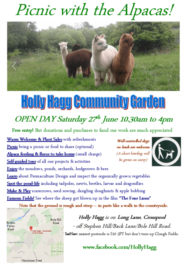 Picnic with the alpacas in Crosspool