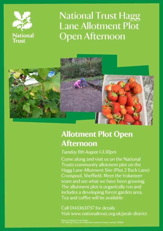 allotment-plot-open-afternoon-2015