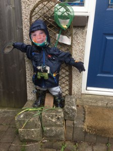 Bug hunting Bob by the Mather family of Sandygate Road