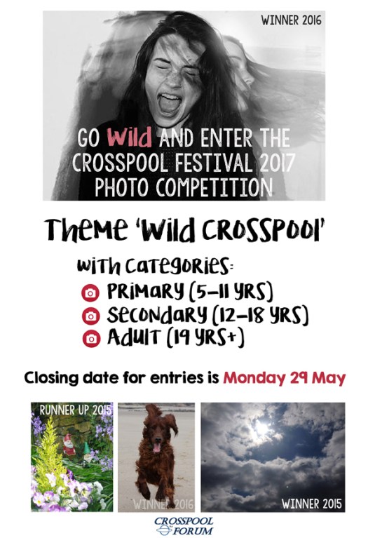 2017 Crosspool Festival photo competition