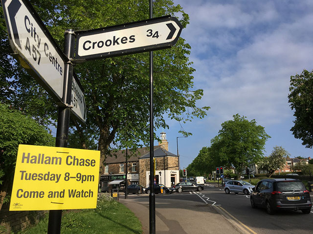 Hallam Chase fell race returns to Crosspool on Tuesday 29 May