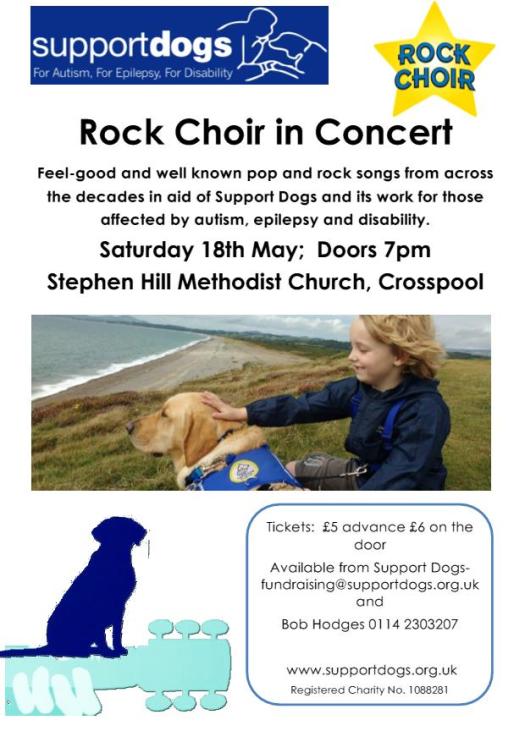 ROCK CHOIR IN CONCERT