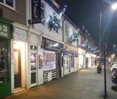 2019 Christmas tree lights